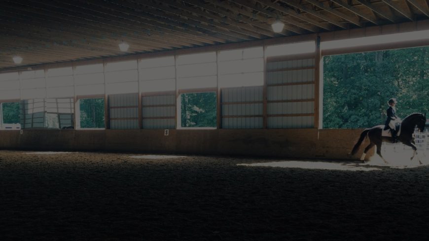 Dr. Cesar Parra Named Markel/USEF Young & Developing Horse Dressage National Champion