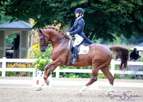 Plastron Frida, Riding, Dressage