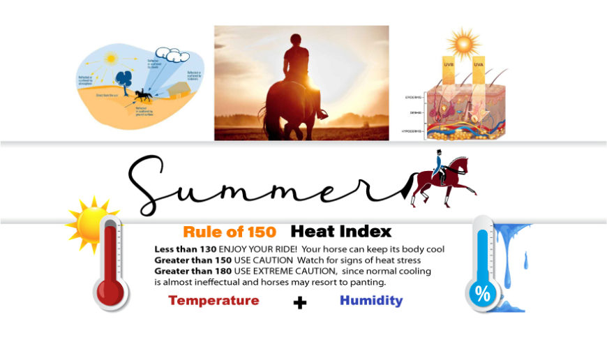 Are you & your horse exposed to UV radiation while riding?